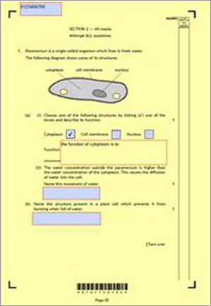 Shows a DQP with 'tick box' functionality