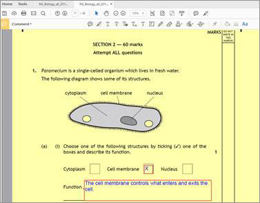 Shows a DQP with no 'tick box' functionality